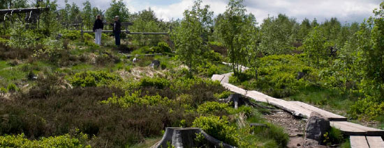 lotharpfad